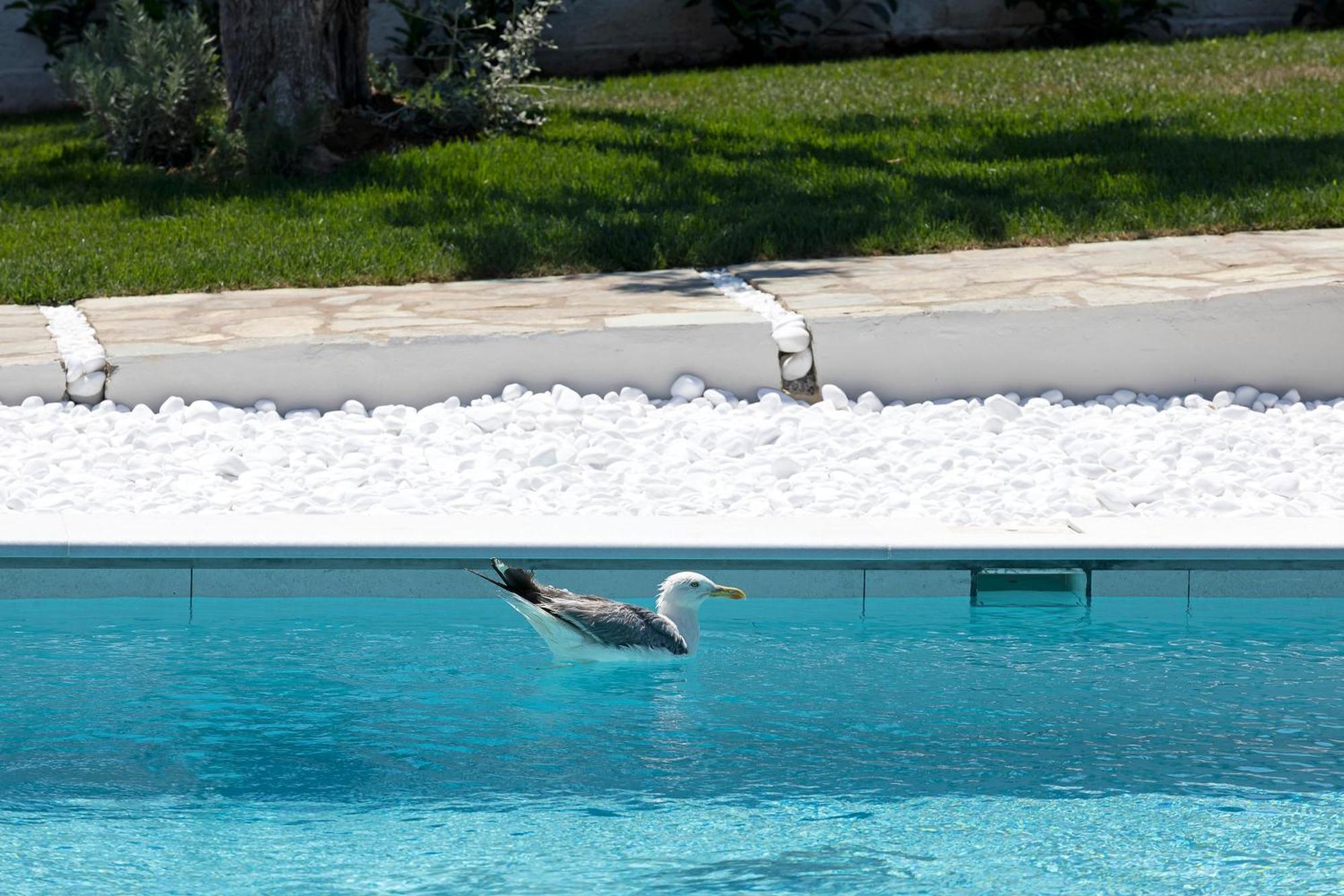 Holiday home Lichnos Luxury